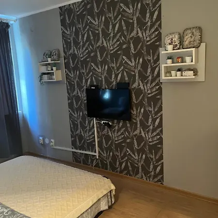 Grey Apartment Belgrade